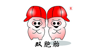 雙胞胎